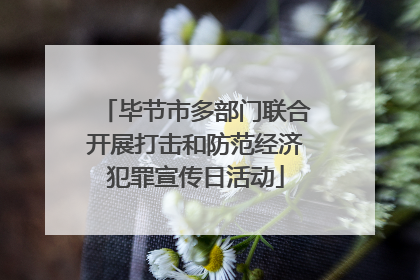 毕节市多部门联合开展打击和防范经济犯罪宣传日活动