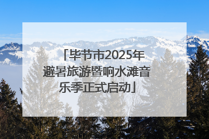 毕节市2025年避暑旅游暨响水滩音乐季正式启动