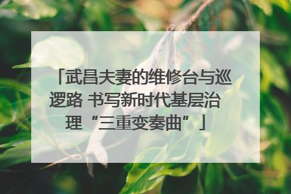 武昌夫妻的维修台与巡逻路 书写新时代基层治理“三重变奏曲”