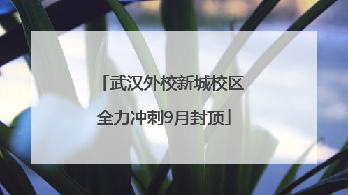 武汉外校新城校区全力冲刺9月封顶