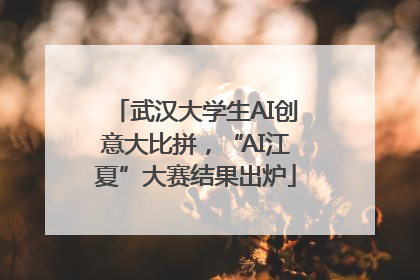 武汉大学生AI创意大比拼，“AI江夏”大赛结果出炉