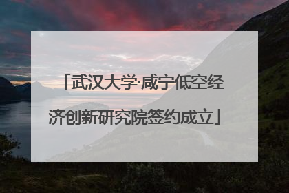 武汉大学·咸宁低空经济创新研究院签约成立