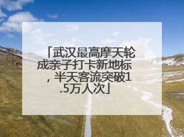 武汉最高摩天轮成亲子打卡新地标，半天客流突破1.5万人次