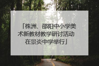 株洲、邵阳中小学美术新教材教学研讨活动在景炎中学举行