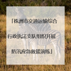 株洲市交通运输综合行政执法支队组织开展防汛应急救援演练