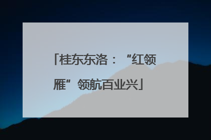 桂东东洛：“红领雁”领航百业兴
