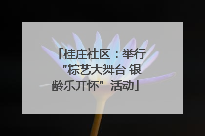 桂庄社区：举行“粽艺大舞台 银龄乐开怀”活动