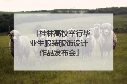 桂林高校举行毕业生服装服饰设计作品发布会