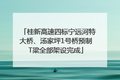 桂新高速四标宁远河特大桥、汤家坪1号桥预制T梁全部架设完成