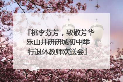 桃李芬芳，致敬芳华 乐山井研研城初中举行退休教师欢送会