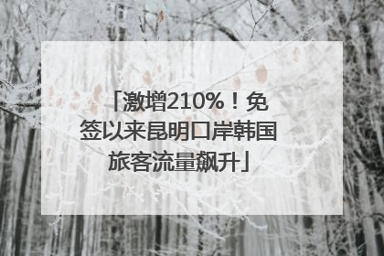 激增210%！免签以来昆明口岸韩国旅客流量飙升