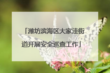 潍坊滨海区大家洼街道开展安全巡查工作