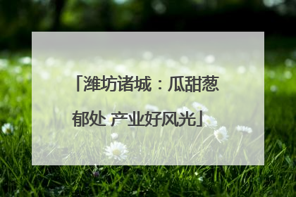 潍坊诸城：瓜甜葱郁处 产业好风光
