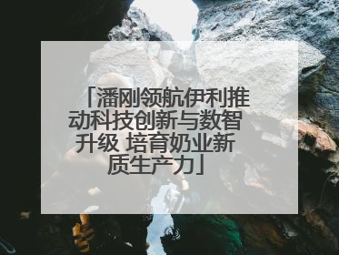 潘刚领航伊利推动科技创新与数智升级 培育奶业新质生产力