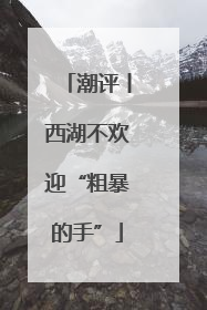 潮评丨西湖不欢迎“粗暴的手”