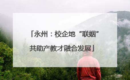 永州：校企地“联姻” 共助产教才融合发展
