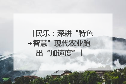 民乐：深耕“特色+智慧”现代农业跑出“加速度”