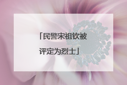 民警宋祖钦被评定为烈士