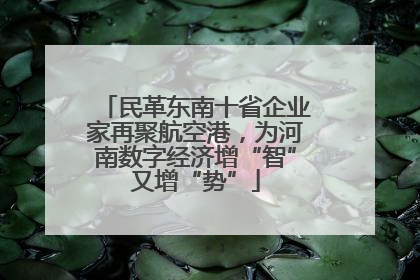 民革东南十省企业家再聚航空港，为河南数字经济增“智”又增“势”