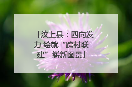 汶上县：四向发力 绘就“跨村联建”崭新图景