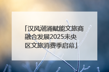 汉风潮涌赋能文旅商融合发展2025未央区文旅消费季启幕