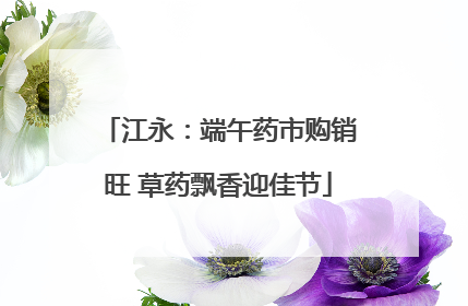 江永：端午药市购销旺 草药飘香迎佳节