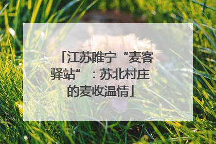 江苏睢宁“麦客驿站”：苏北村庄的麦收温情