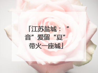 江苏盐城：“音”爱留“夏” 带火一座城