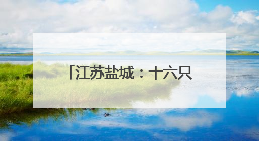 江苏盐城：十六只国家一级保护动物东方白鹳放归自然