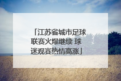 江苏省城市足球联赛火爆继续 球迷观赛热情高涨
