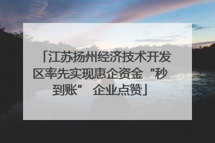 江苏扬州经济技术开发区率先实现惠企资金“秒到账” 企业点赞
