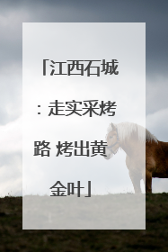 江西石城：走实采烤路 烤出黄金叶