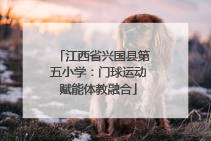 江西省兴国县第五小学：门球运动赋能体教融合