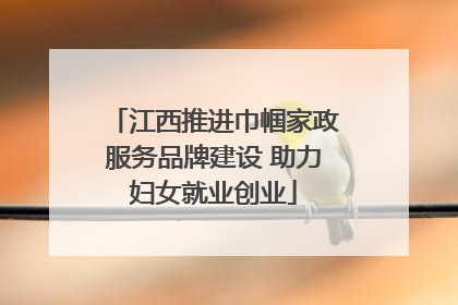 江西推进巾帼家政服务品牌建设 助力妇女就业创业