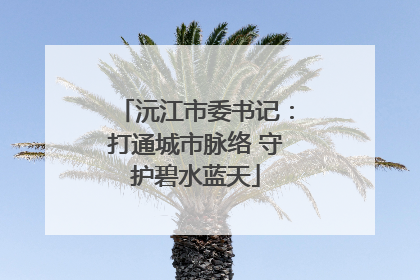 沅江市委书记：打通城市脉络 守护碧水蓝天