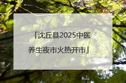 沈丘县2025中医养生夜市火热开市