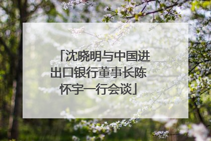 沈晓明与中国进出口银行董事长陈怀宇一行会谈