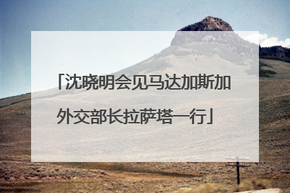 沈晓明会见马达加斯加外交部长拉萨塔一行