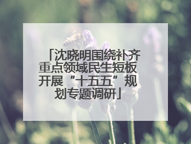 沈晓明围绕补齐重点领域民生短板开展“十五五”规划专题调研