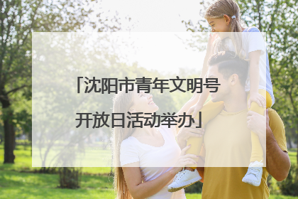 沈阳市青年文明号开放日活动举办