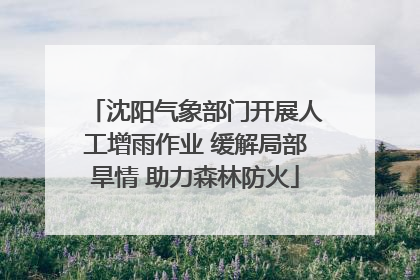 沈阳气象部门开展人工增雨作业 缓解局部旱情 助力森林防火