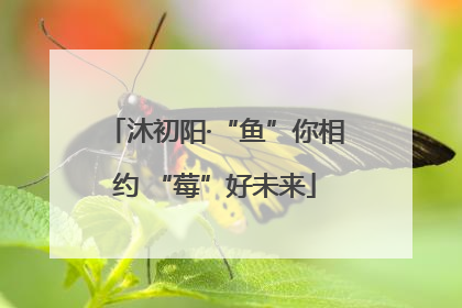 沐初阳·“鱼”你相约 “莓”好未来