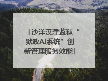 沙洋汉津监狱“狱政AI系统”创新管理服务效能