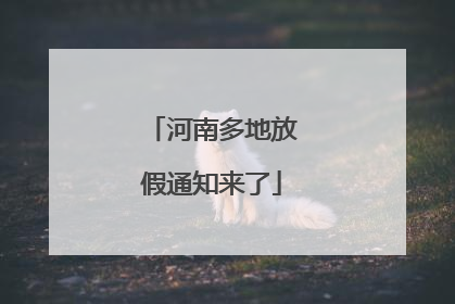 河南多地放假通知来了