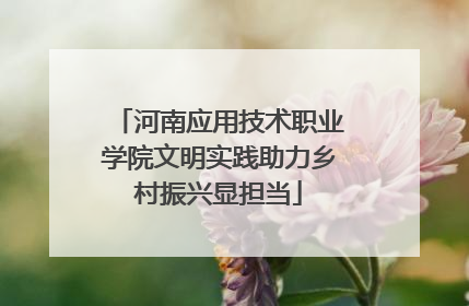 河南应用技术职业学院文明实践助力乡村振兴显担当
