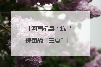 河南杞县：抗旱保苗战“三夏”