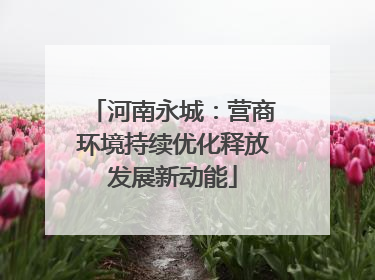 河南永城：营商环境持续优化释放发展新动能