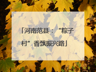 河南范县：“粽子村”香飘振兴路