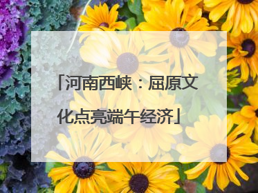 河南西峡：屈原文化点亮端午经济
