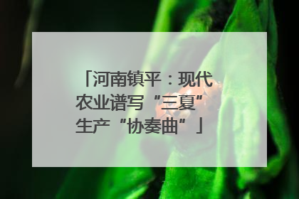 河南镇平：现代农业谱写“三夏”生产“协奏曲”